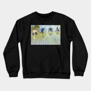 Paddy Field 1(2) Crewneck Sweatshirt